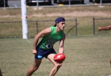 Cat young gun highlighted