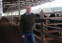 Council funds effluent facility