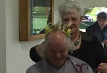 Strawb loses locks for charity