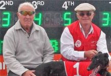 The night a local greyhound syndicate threw caution to the wind