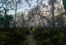 Mega effort to build Naracoorte Caves running festival
