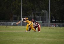 Tigers will not be tamed