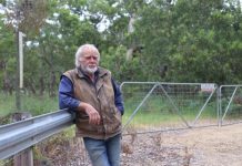 Sanctuary health key to rare bird numbers