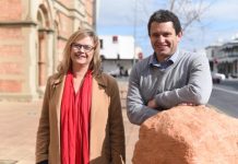 Euthanasia laws to be debated in 2021