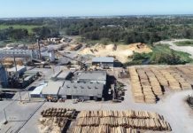 New $59m Tarpeena Mill to create 50 jobs