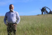 Inside the chamber of secrets