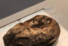 Shipwrecked artefact intrigues