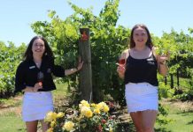 Riding summer tourism wave