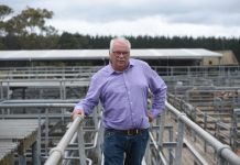 Grant District Council secret tape revealed