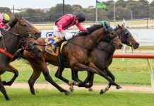 Icing on the cake for seaside holiday