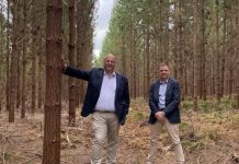 Bell abstains from abortion vote