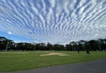 Mount Gambier and District Baseball results