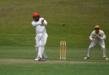 Tigers bound to top spot