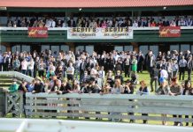 No racing until at least the spring