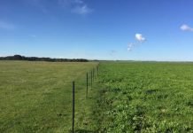 Soil testing: Why is it so critical?