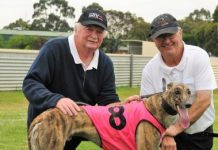 Lindsay has gone from silly to cranky