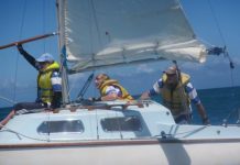 Summer days provide perfect viewing