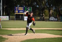 Mount Gambier and District Baseball results