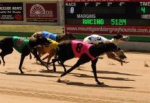 Richards takes involvement to new heights