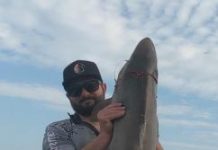 Anglers soak up conditions