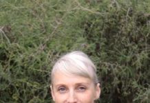 Businesses linked to free experts