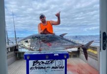 Big seas bring monster fish