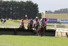 Youngster not for sale