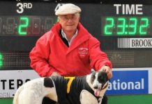 Local trainer picks up another SA-bred maiden bonus