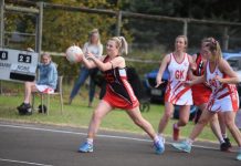 Mid South Eastern Netball Association Round 2 results
