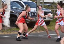 Mozzies claim match of the round