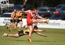 Demons sting Tigers