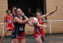 Bulldogs put teams on notice