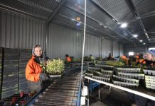 Growing industry needs big workforce