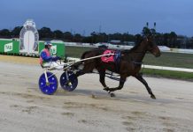 Group 1 racing awaits local apprentice