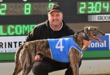 Trainer wraps up big week