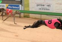 Glenville Rose boosts litter’s winning tally