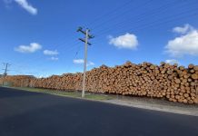 Export questioned amid nationwide timber shortages
