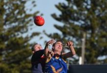 Magpies rise to the top