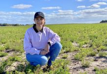 Webinars dig deep into soils