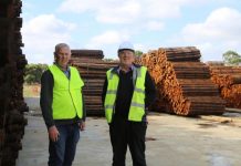 Roundwood on cutting edge