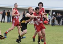 Brown reaches major milestone