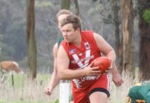 Tiger reaches milestone