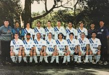 The blue and white family