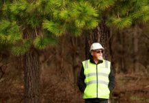 Forest family honour