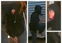 Police search for thieves