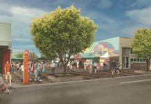 Millicent town plan endorsed