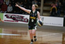 Pioneers to return to the court