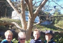 Handicapper stands tall