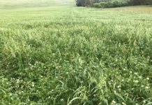 Key to optimal winter growth