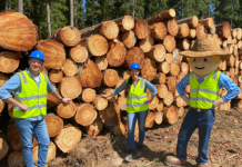 Wood is good for the world